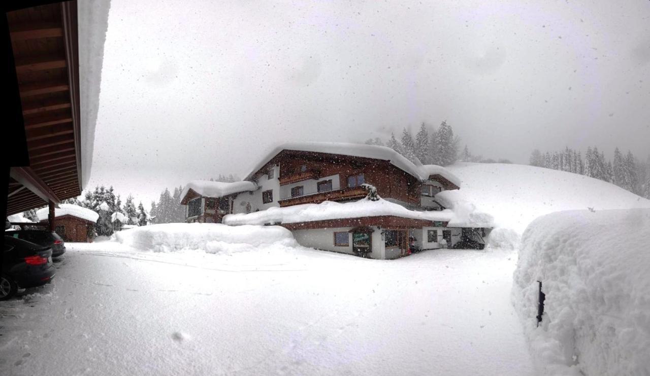 Ferienwohnung Saalbach Fieberbrunn Exterior foto
